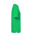Polo Classic Homme Vert Fougère James And Nicholson-3