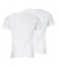 Lot de 2 tee-shirts col V homme Coton Bio