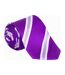 Childrens/kids Striped Show Tie One Size Purple Lilac Supreme Products-2