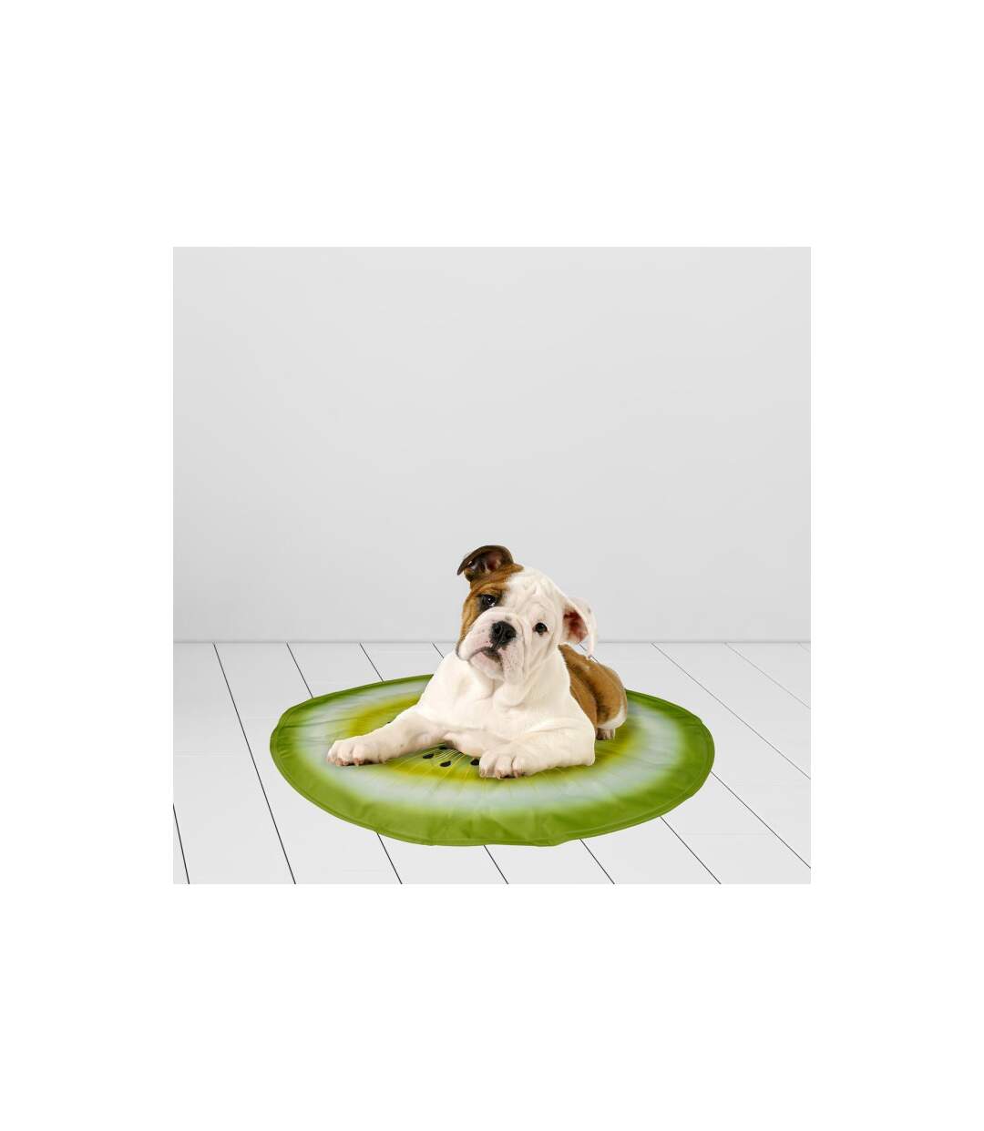 Matelas Rafraîchissant pour Animaux Fruit 60cm Vert-2