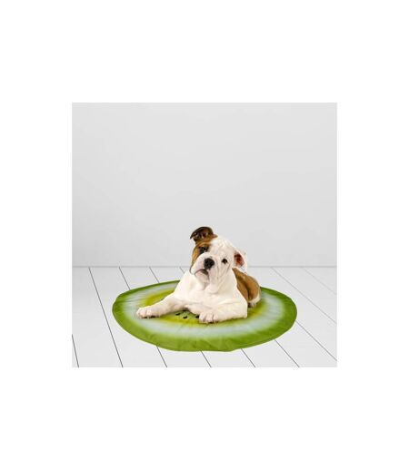 Matelas Rafraîchissant pour Animaux Fruit 60cm Vert