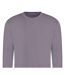 Sweat Adulte Vieux Lilas Awdis-2