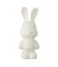 Statuette Lapin en Résine Eddy 49cm Blanc-1