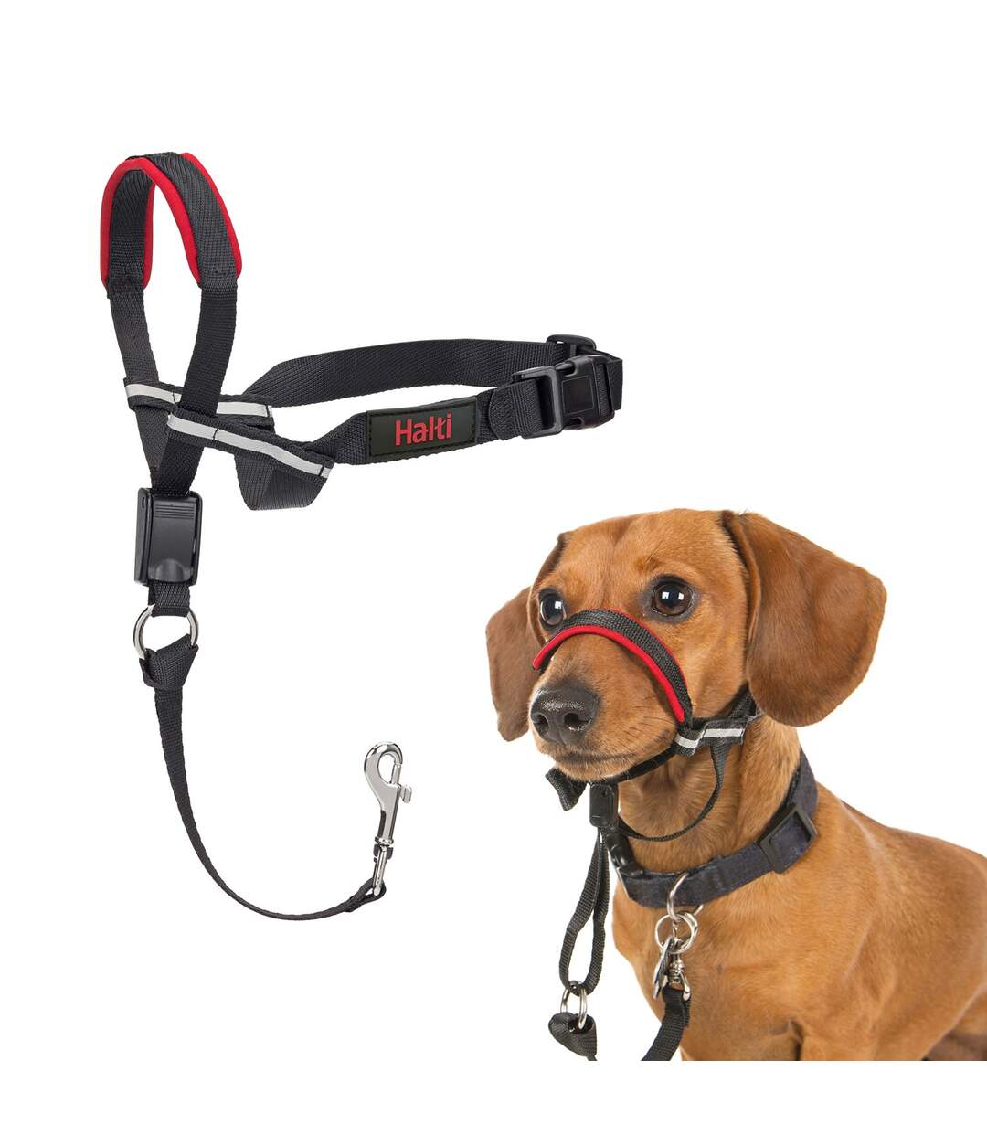 Harnais pour chiens optifit s noir Halti-4