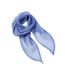 Écharpe Femme Taille Unique Bleu Premier-2