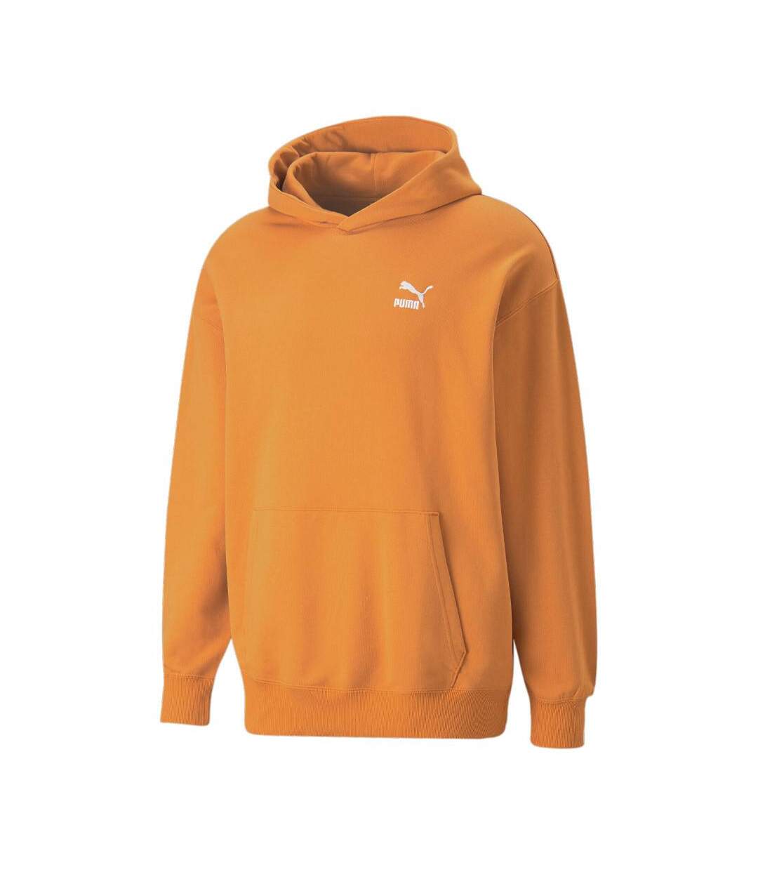 Sweat àCapuche Orange Homme Puma 535601 - L-1