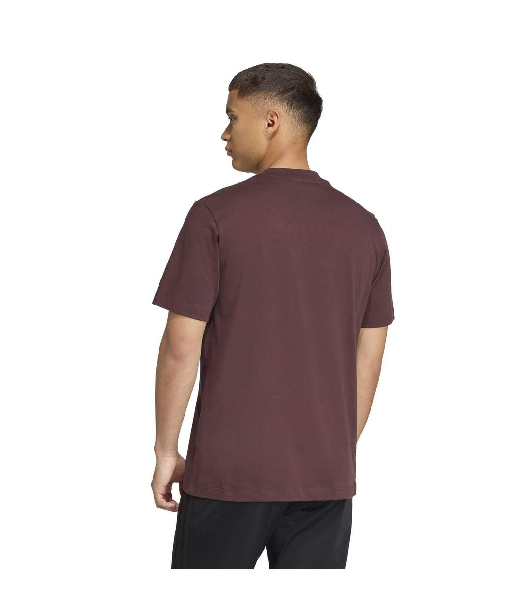 T-shirt Motif/style Logo Essentials Homme Marron Adidas-3