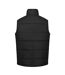 Veste Sans Manches Access Homme Gris Phoque Noir Regatta-2