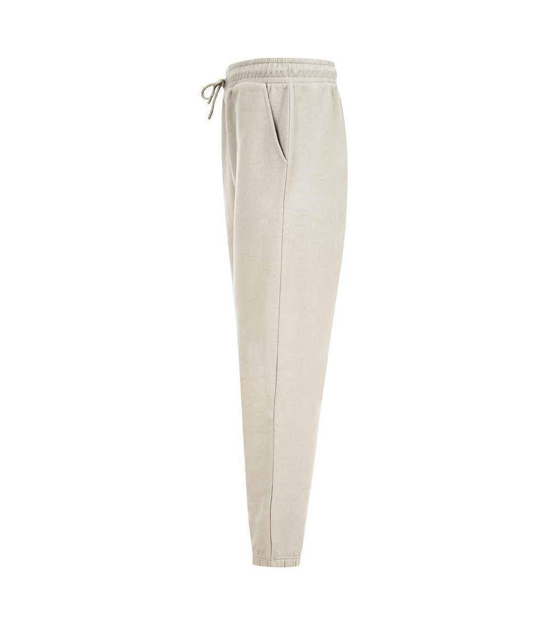 Pantalon de jogging adulte gris pâle SF SF