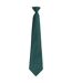 Premier Unisex Adult Colours Fashion Plain Clip-On Tie (Bottle) (One Size)