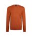 Pull Botto Homme Orange Foncé Boss-1