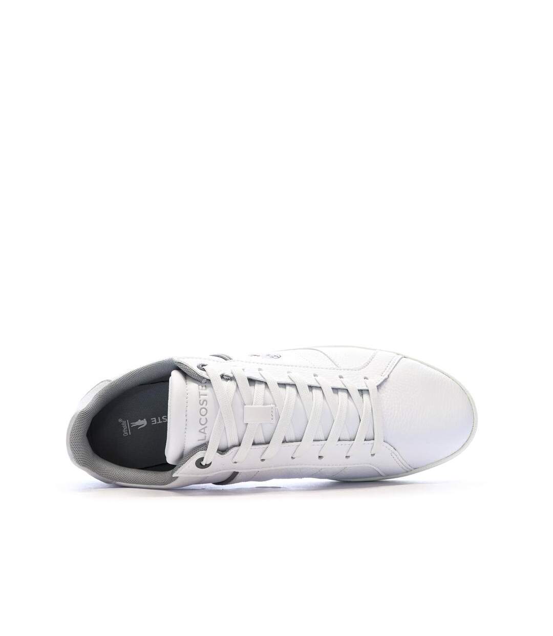 Baskets blanches/grises homme lacoste europa-4