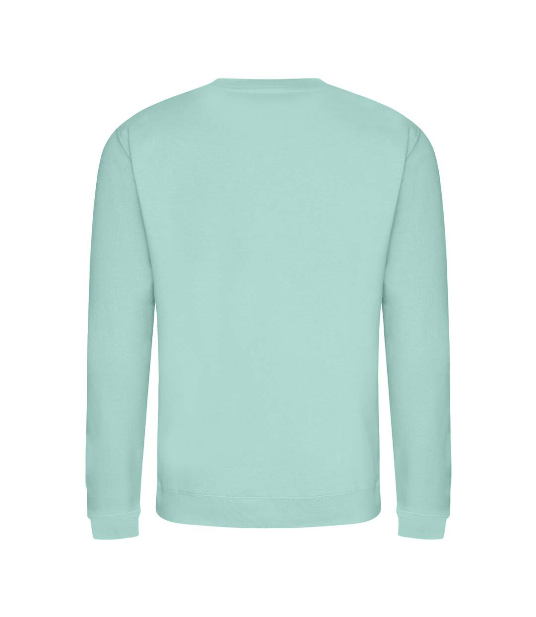 Just hoods  unisex crew neck plain sweatshirt 280 gsm mint Awdis-2