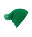 Bonnet Snowstar Unisexe Vert Blanc Beechfield-3