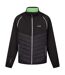 Regatta Mens Steren Hybrid Soft Shell Jacket (Black/Jasmine Green)