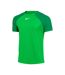 T-shirt Academy Pro Homme Vert Nike-1