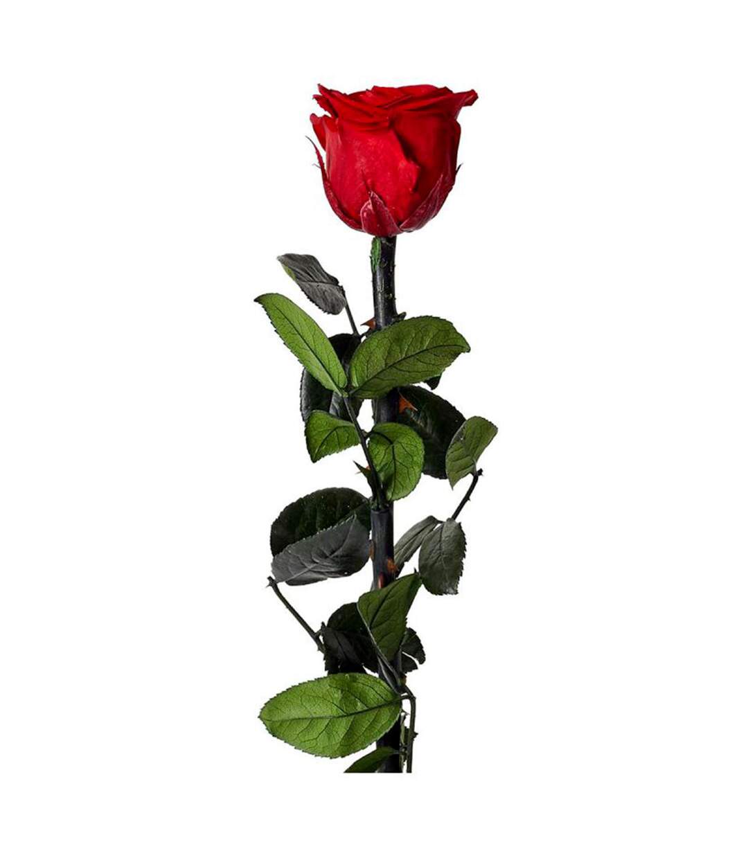 Fleur Artificielle Rose sur Tige 30cm Vert & Rouge-1