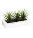 Centre de Table Aloe Vera Plant 31cm Blanc-1