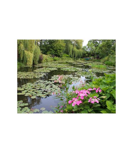 Visite guidée : musées Orsay, Orangerie, jardins et maison de Claude Monet pour 4 - SMARTBOX - Coffret Cadeau Sport & Aventure