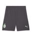 Milan ac short gris homme puma 2024/25 - l-1