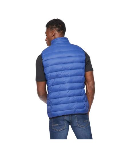 Mens gattering gilet royal blue Crosshatch