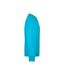 Sweat Workwear Adulte Turquoise Vif James And Nicholson-3