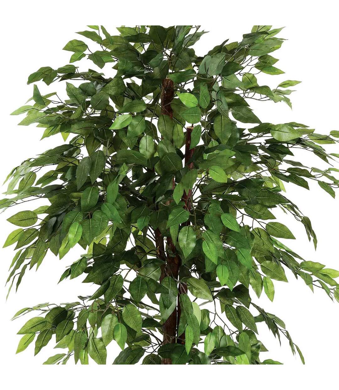 Plante Artificielle Ficus 185cm Vert-2