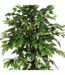 Plante Artificielle Ficus 185cm Vert-2