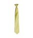Premier Colors Mens Satin Clip Tie (Lime) (One Size)