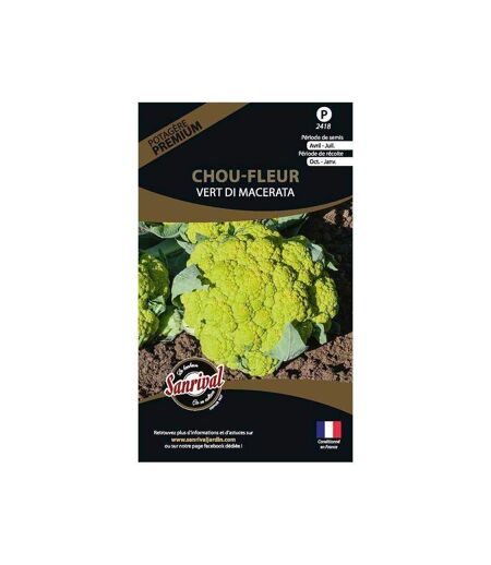 Graines potagères premium chou Chou fleur vert Di Macerata