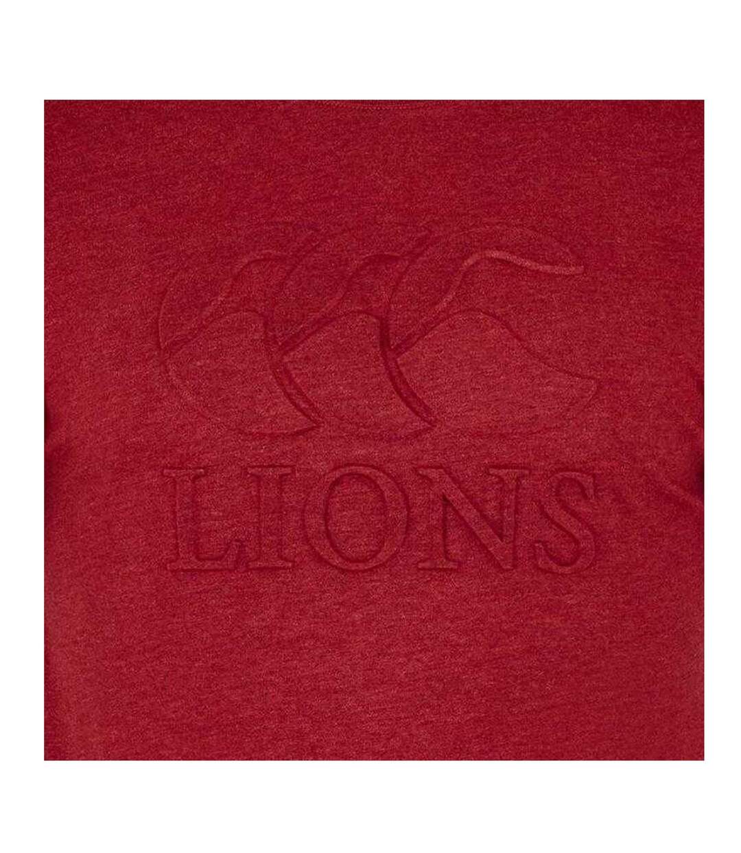 T-shirt Motif/style British & Irish Lions Monument Homme Rouge Écarlate Canterbury-3