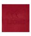 T-shirt Motif/style British & Irish Lions Monument Homme Rouge Écarlate Canterbury-3