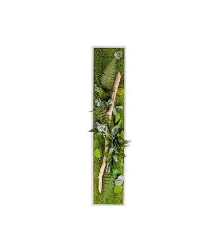 Tableau végétal stabilisé nature Pano 40 x 140 cm