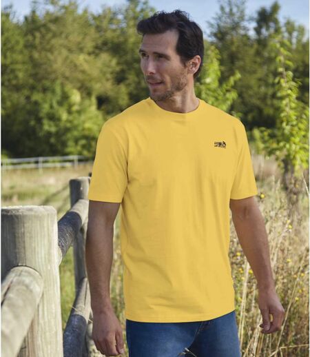Pack of 4 Men's Adventure T-Shirts - Blue Beige Yellow Khaki