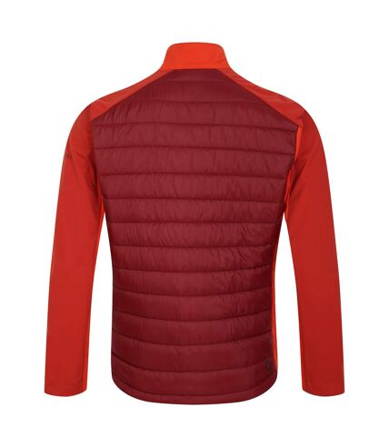 Veste hybride mountaineer homme rouge toscan / rouge syrah Dare 2B