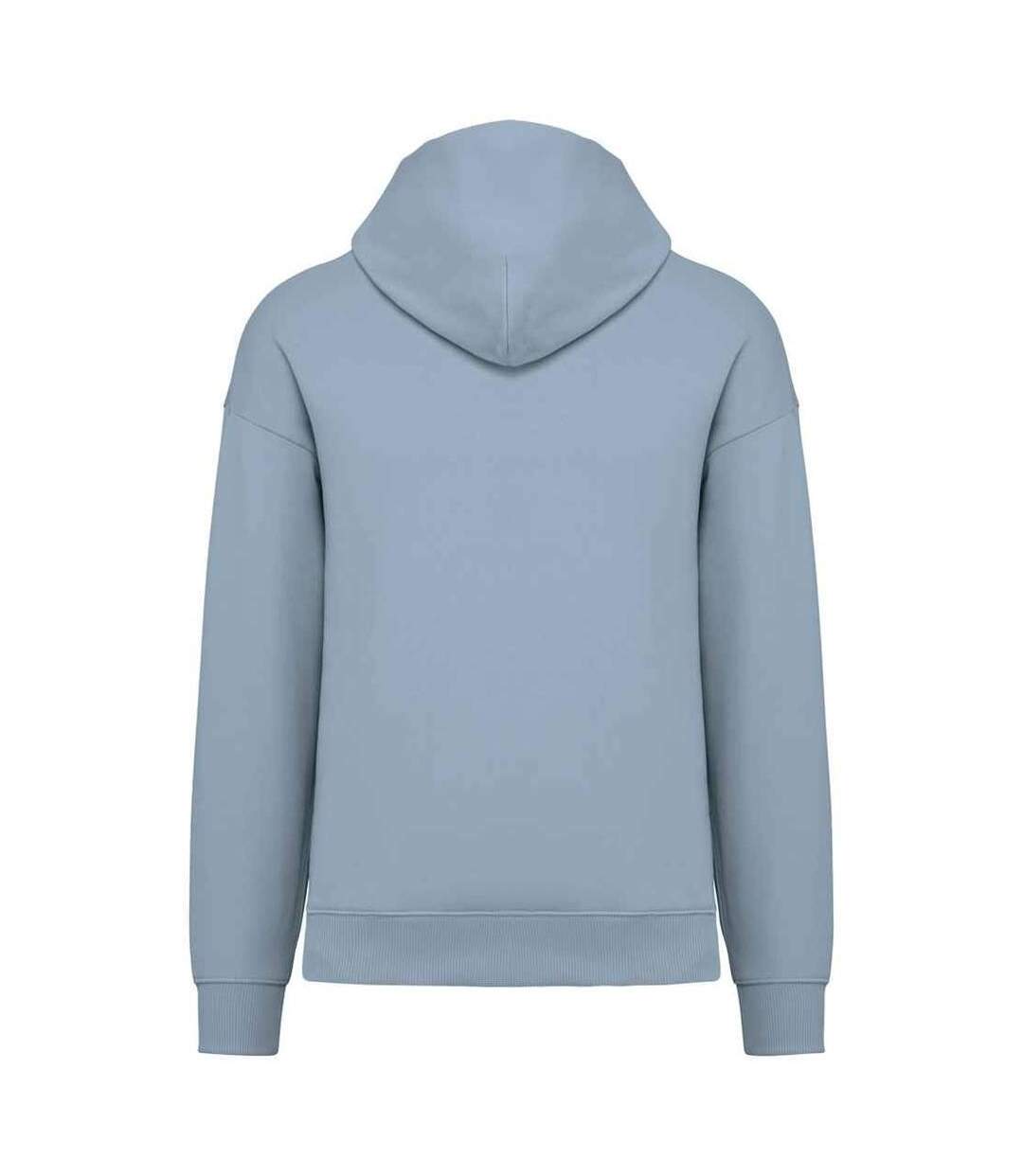 Unisex adult oversized hoodie aquamarine Native Spirit-2