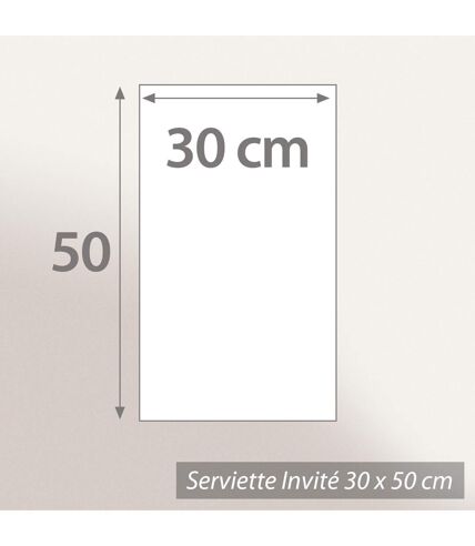 Serviette invité ALBA