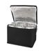 Spectrum 4l non-woven cooler bag one size solid black Generic-2