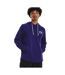 Sweat À Capuche Rival Terry Homme Bleu Under Armour-1
