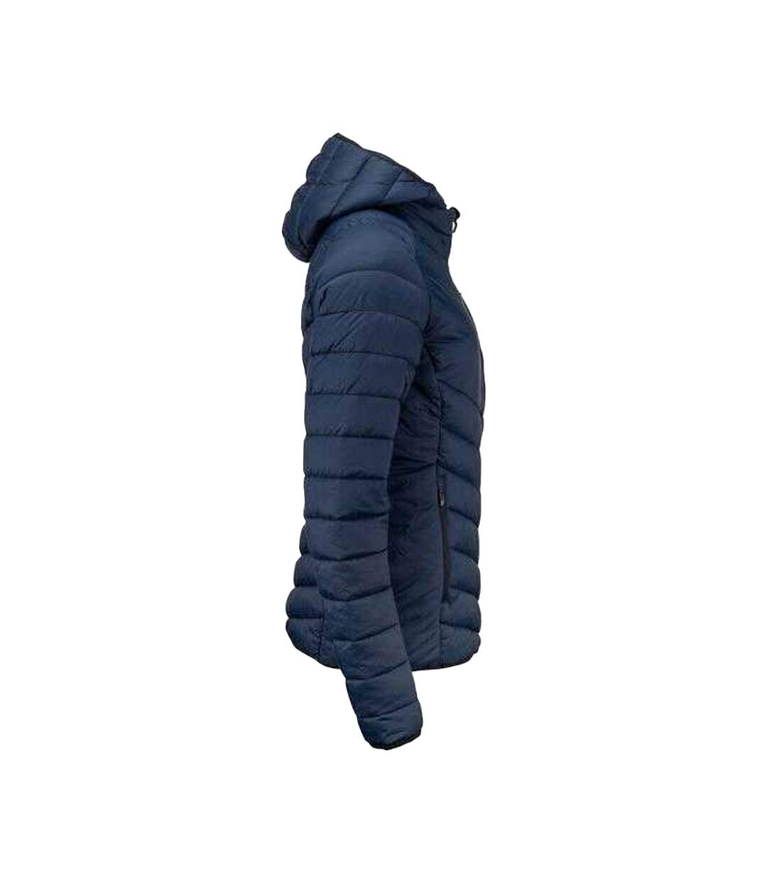 Womens/ladies Mount Adams Padded Jacket Dark Navy Cutter & Buck-4