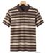 WINCHESTER RANNOCK1 — Polo manches courtes choco : l'élégance casual et le confort absolu en pur coton-2