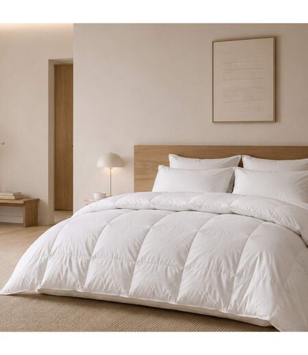Couette CAP NORD garnissage duvet d'oie Chaud (hiver) 400 g/m2