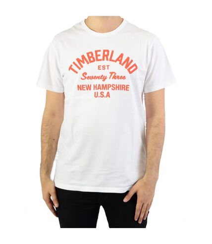 Tee-Shirt Timberland SS Paint Inspired