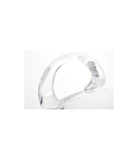 Carafe à Décanter Canard 171cl Transparent