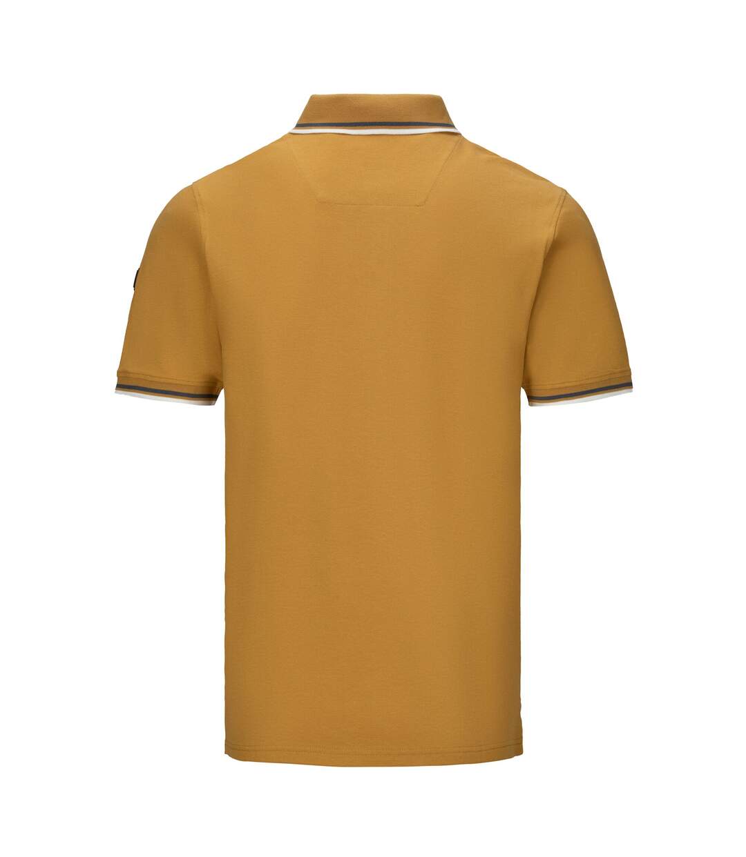 Polo Adryan Homme Marron Bois Regatta-3