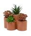 Plantes Grasses Artificielles en Pot Wonj 22cm Terracotta-1