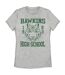 Stranger Things Womens/Ladies Hawkins High School T-Shirt (Heather Grey)
