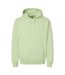 Sweat À Capuche Softstyle Adulte Vert Pistache Gildan-1