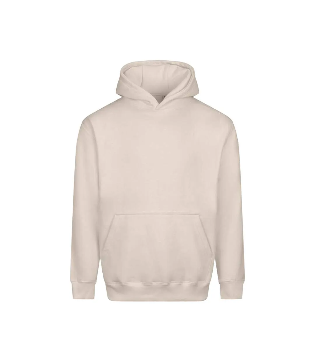 Mens Vision Heavyweight Hoodie Natural Stone Awdis-1