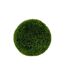 Boule d'Herbe Artificielle Carly 37cm Vert-1